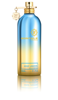 Montale Aoud Lagoon Eau de Parfum Unisex 100 ml