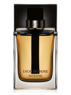 Christian Dior Homme Intense (2011) Men Eau de Parfum