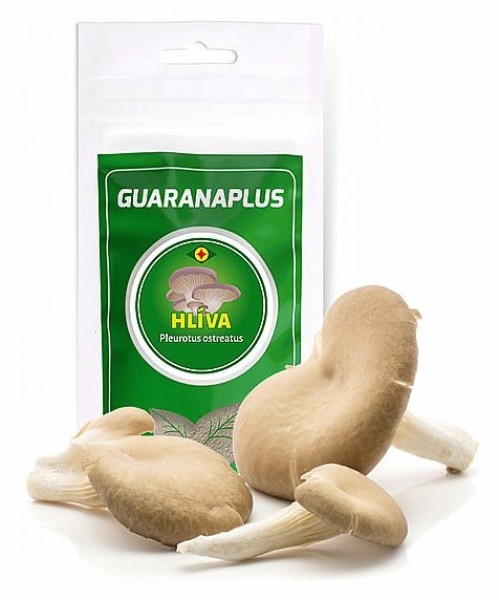 GuaranaPlus Pulbere de ciuperci de stridii 75 g